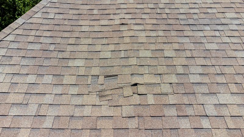 Asphalt Roof Inspection in New Gretna, NJ