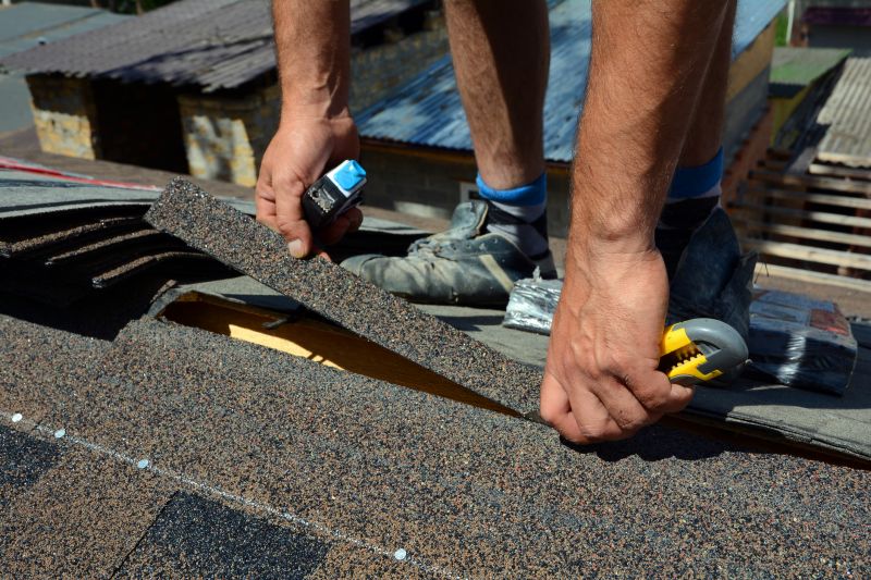 Asphalt Roof Leak Repair in Avalon, NJ