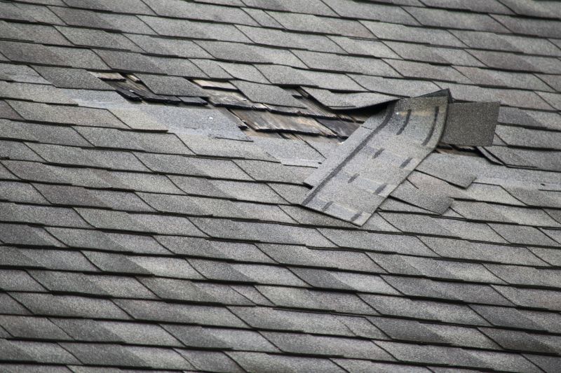 Asphalt Roof Repair in Mays Landing, NJ