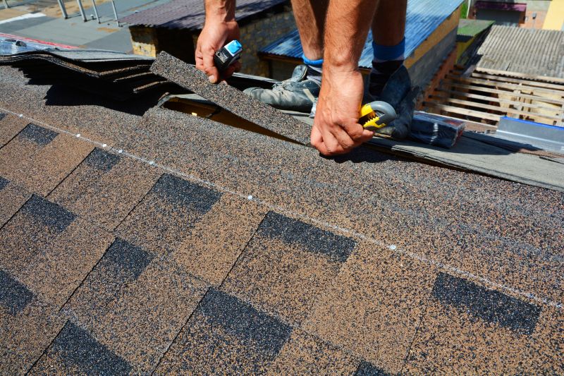 Asphalt Roof Repair in Ocean View, NJ