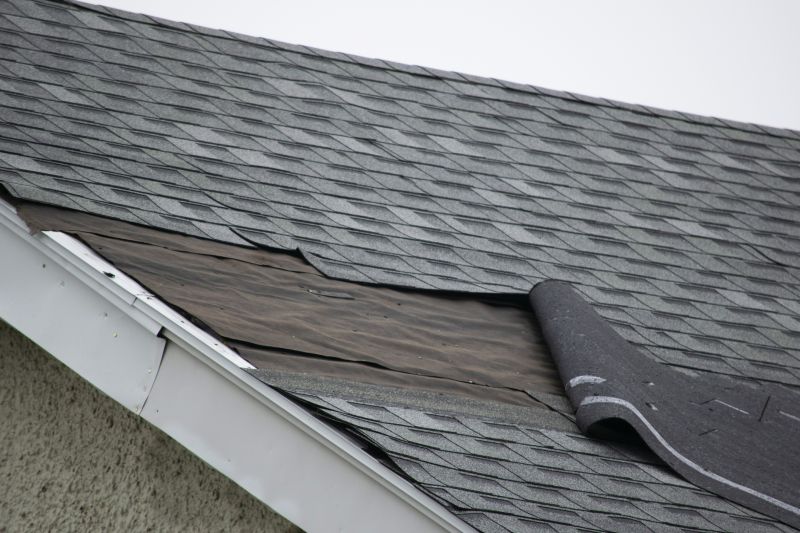 Asphalt Shingles Repair in Pleasantville, NJ