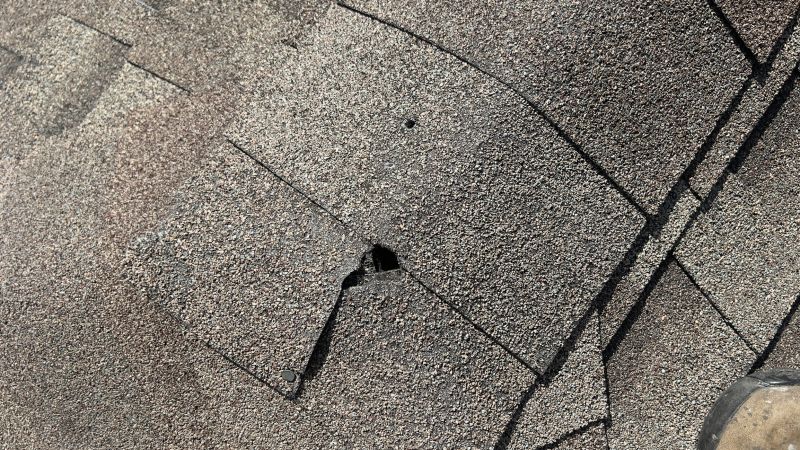 Damaged Roof Repair in Avalon, NJ