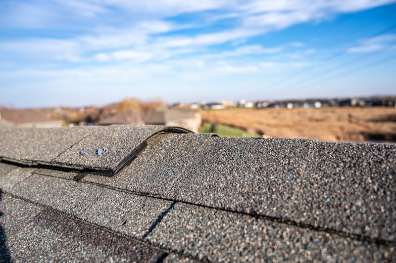 Damaged Roof Repair in New Gretna, NJ