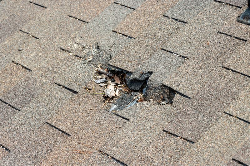 Damaged Roof Replacement in Margate City, NJ