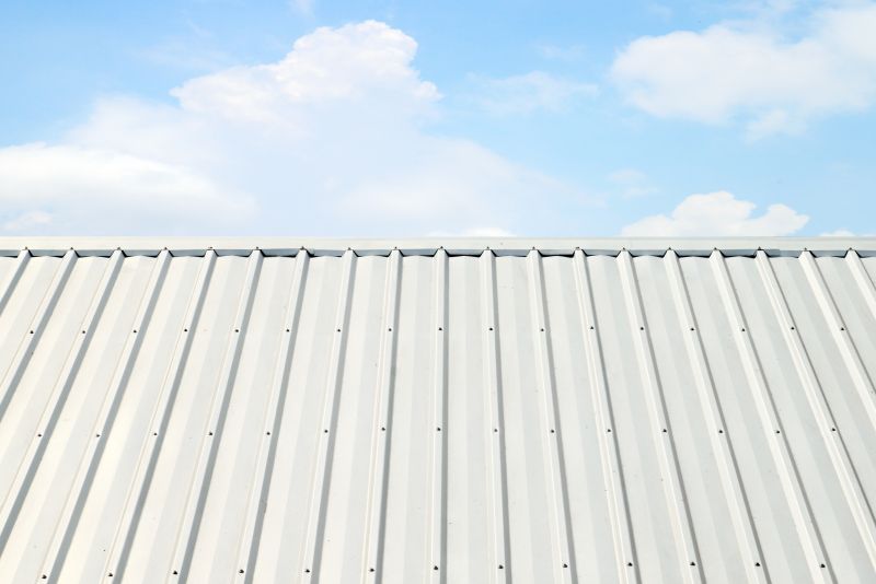 Metal Roof Coating Service in Atlantic County, NJ