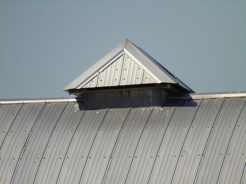 Tin Roof Installation in Ocean View, NJ
