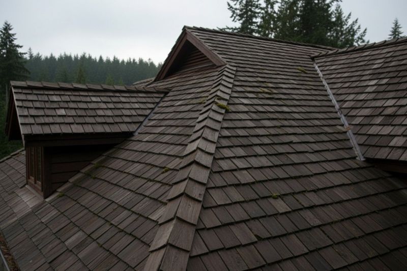 Wood Shake Roof Replacement in Atlantic City, NJ