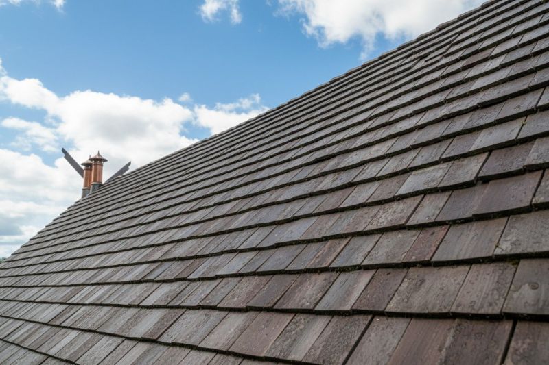Wood Shake Roof Replacement in Ocean View, NJ